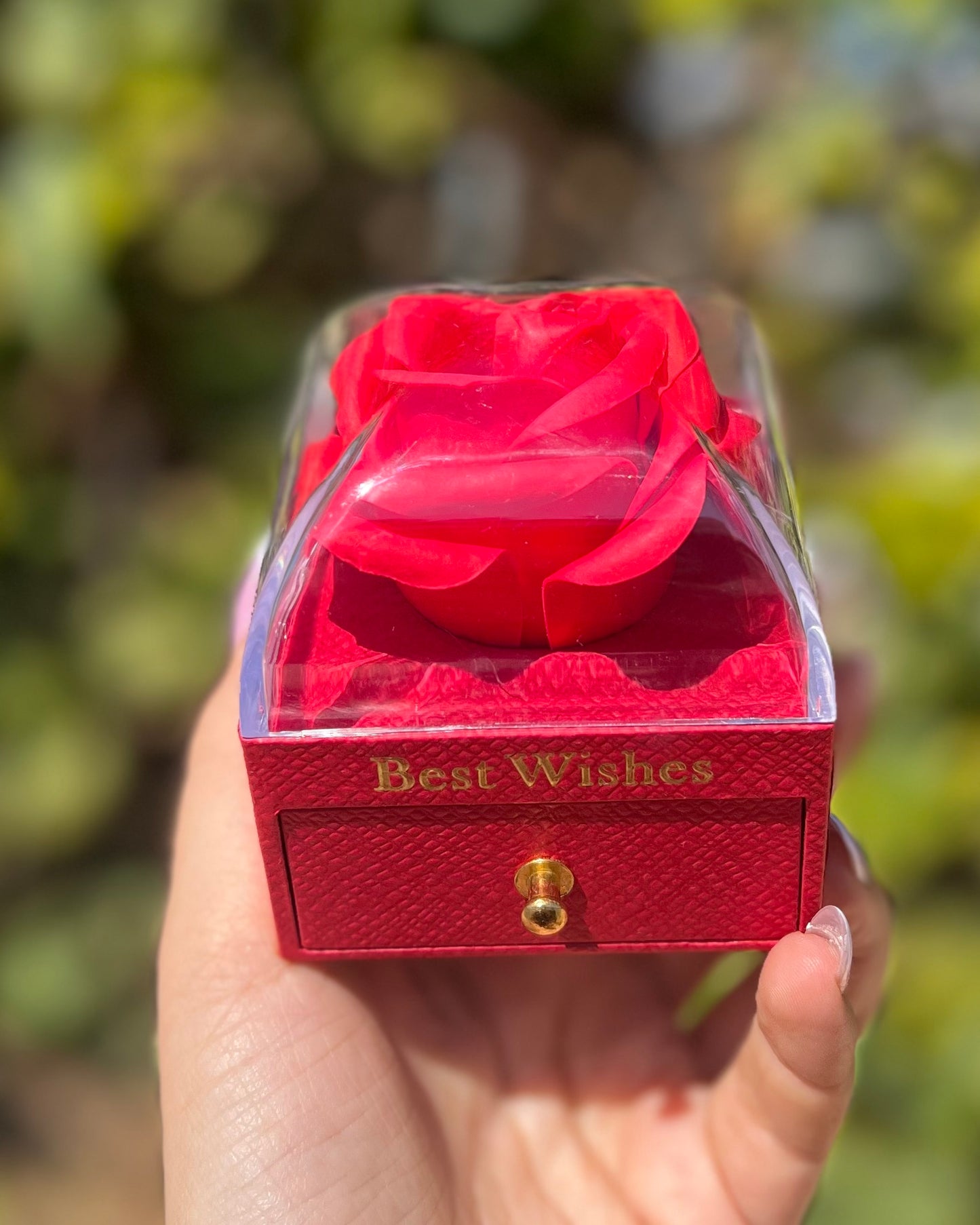 Boite meilleure vœux