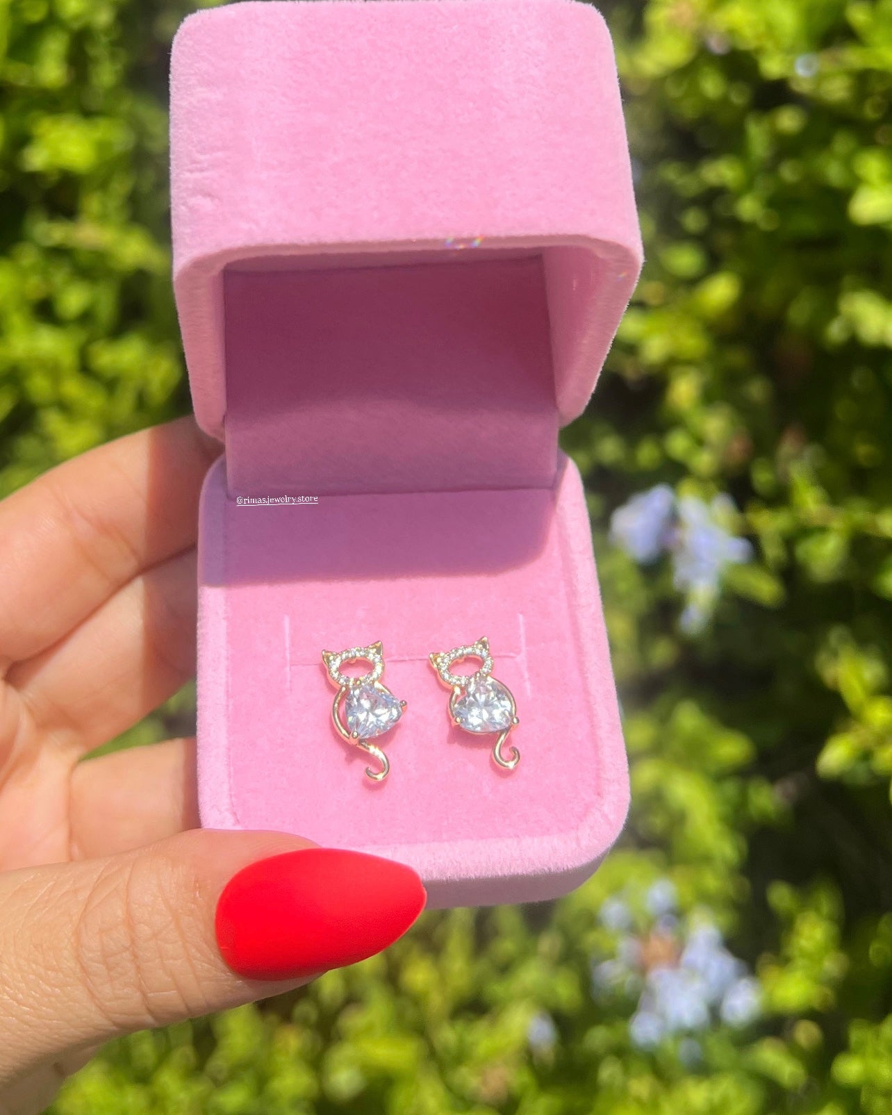 Boucles Cat lover